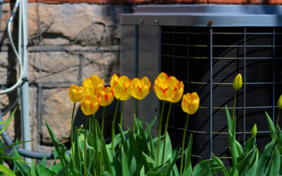 Why is Spring the Best Time for AC Maintenance?